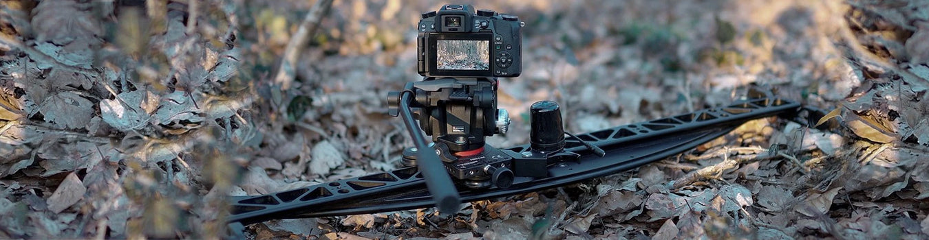 All Sliders