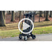https://youtu.be/ecrcB1nw9fA